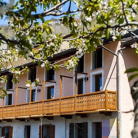 Emilio Apartments La Salle Kültér fotó